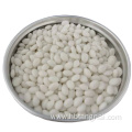 wholesale injection molding White Masterbatch particles